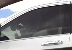 دارنزیا و تینا کراوز کانال سکسی لینک