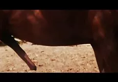 این کانال فیلم وعکس سکسی تلگرام دیک را خاموش کرده و بخور
